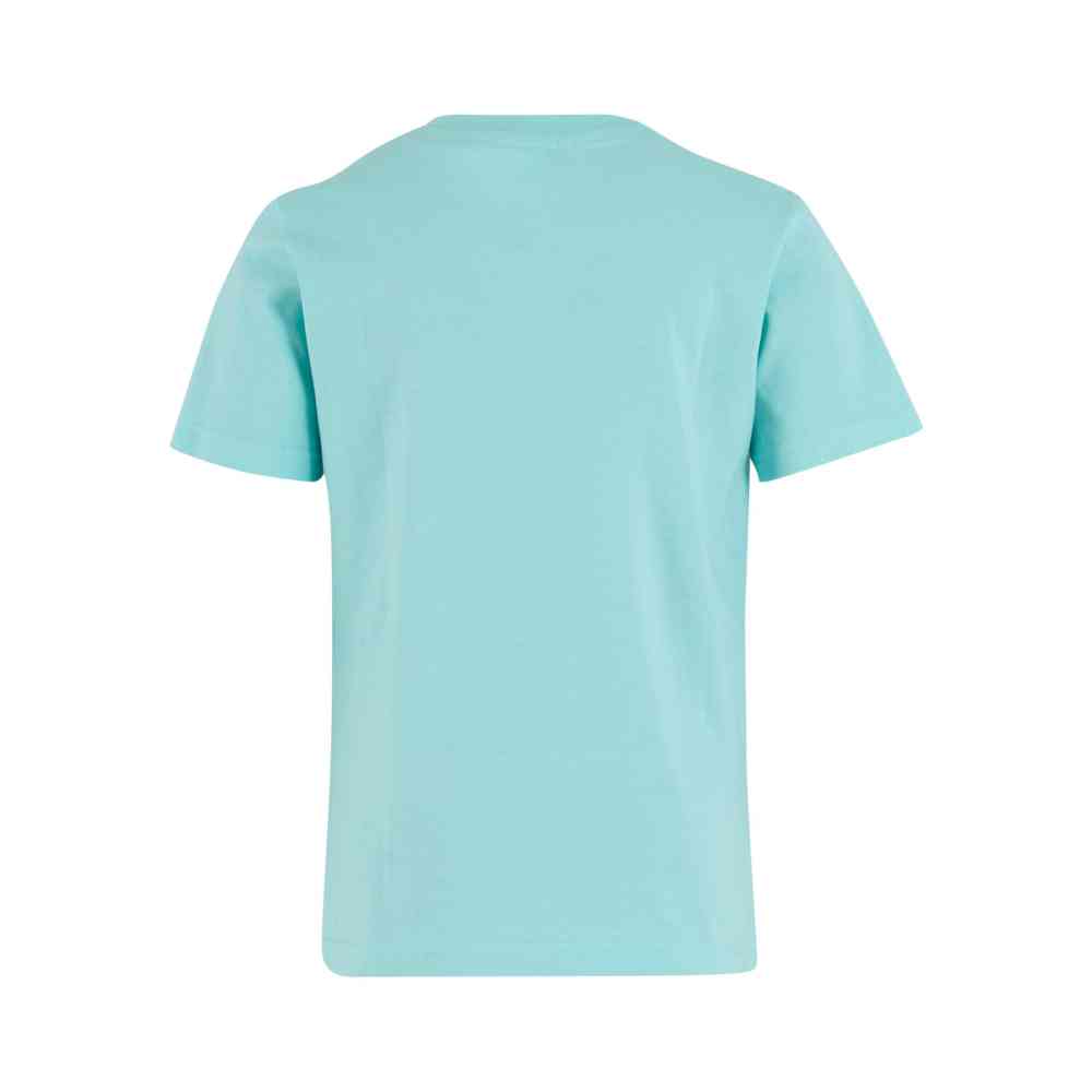 Mister Tee - Kids Tiger Sports Tshirt Enfant - Bleu